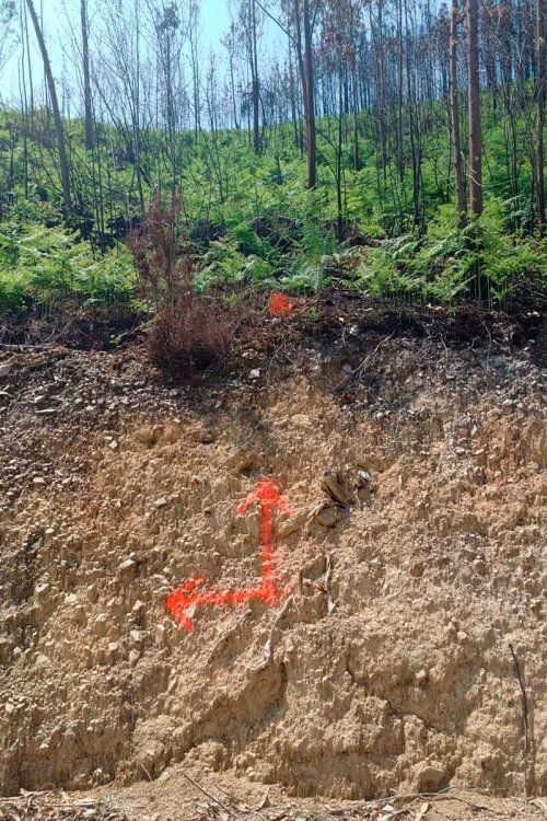 Captura y almacenamiento de CO2 en Asturias