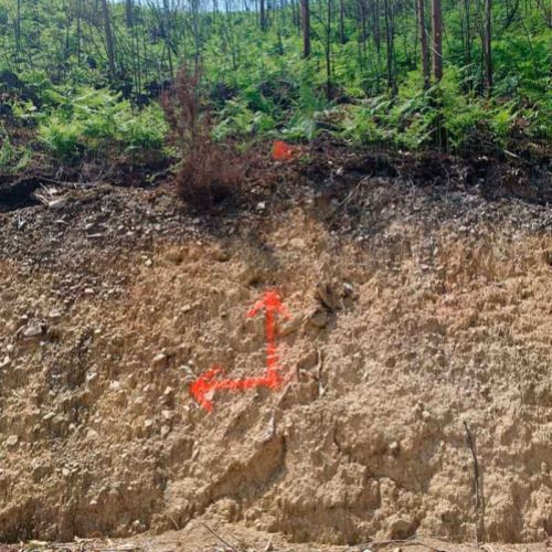 Marca roja sobre tierra en proyecto forestal