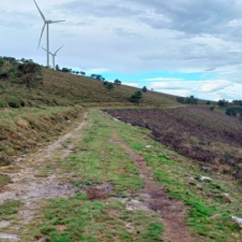 Vía rural frente a molinos de viento