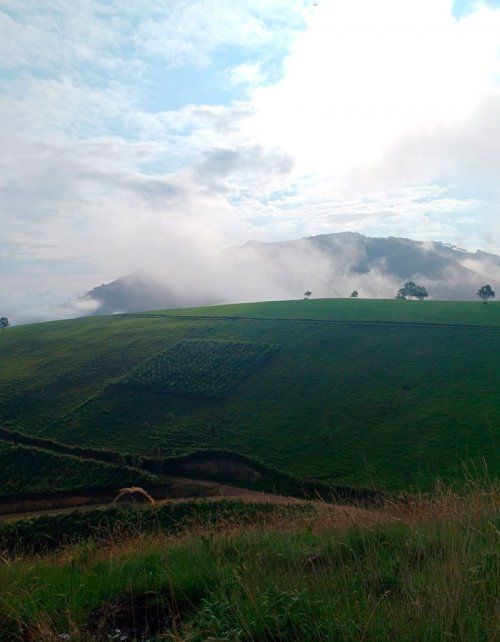 Ordenación de montes en Asturias