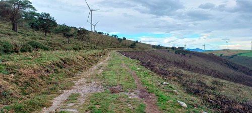 Estudios y evaluaciones de impacto ambiental