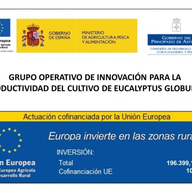 Cultivo de Eucalyptus Globulus