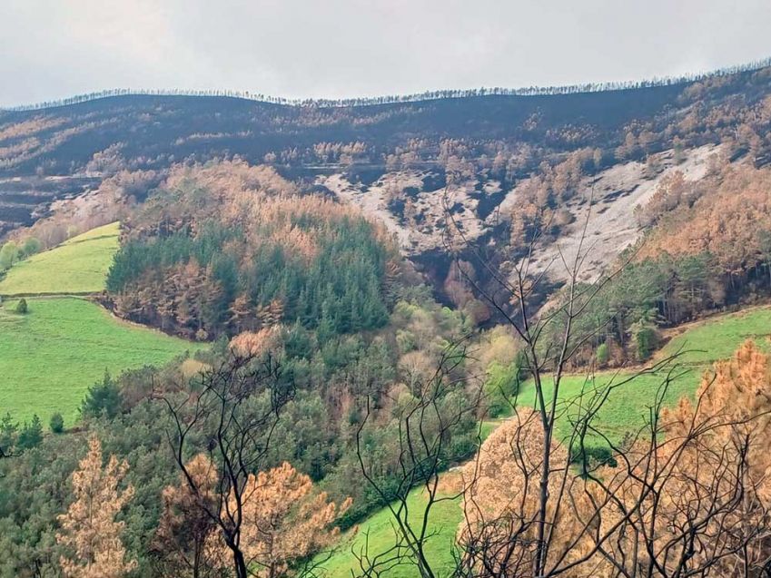 Expertos en cuidar el MEDIO RURAL